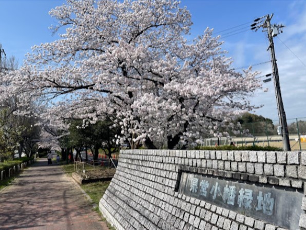 小幡緑地西園